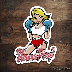 Lady Fighter Die-cut Stickers, Cartoon Stickers, Meme Stickers, Funny Stickers, Gift Stickers. Notebook Decals.