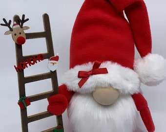 Santa with Christmas Ladder
