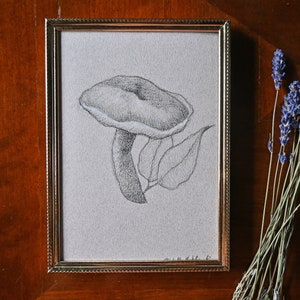 Unframed Charcoal Sketch | Mushroom Drawing | Handmade Art |