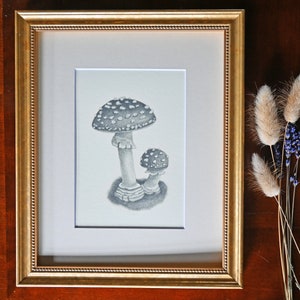 Giclee of Fly Agaric Mushrooms | Art Print | Giclee | Cottagecore Art