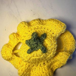 Lemon Cat Hat (crochet)