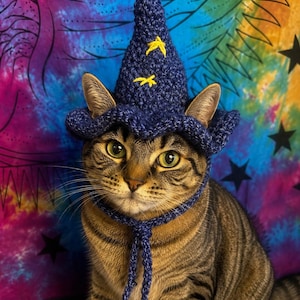 May include: A dark blue crocheted wizard hat with a pointed top and a wide, wavy brim. The hat features two small, yellow embroidered star shapes on the front cone and includes a matching blue crocheted chin strap that ties under the neck.