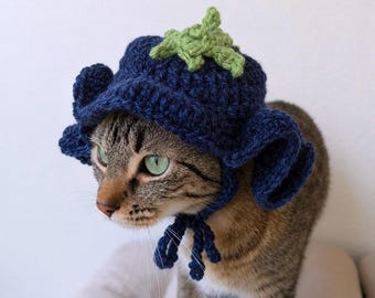 Blueberry Cat Hat (Crochet)