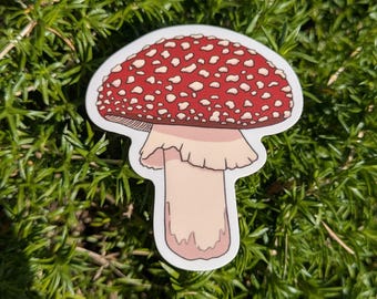 Toadstool Vinyl Sticker