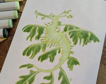 Original Leafy Sea Dragon Drawing