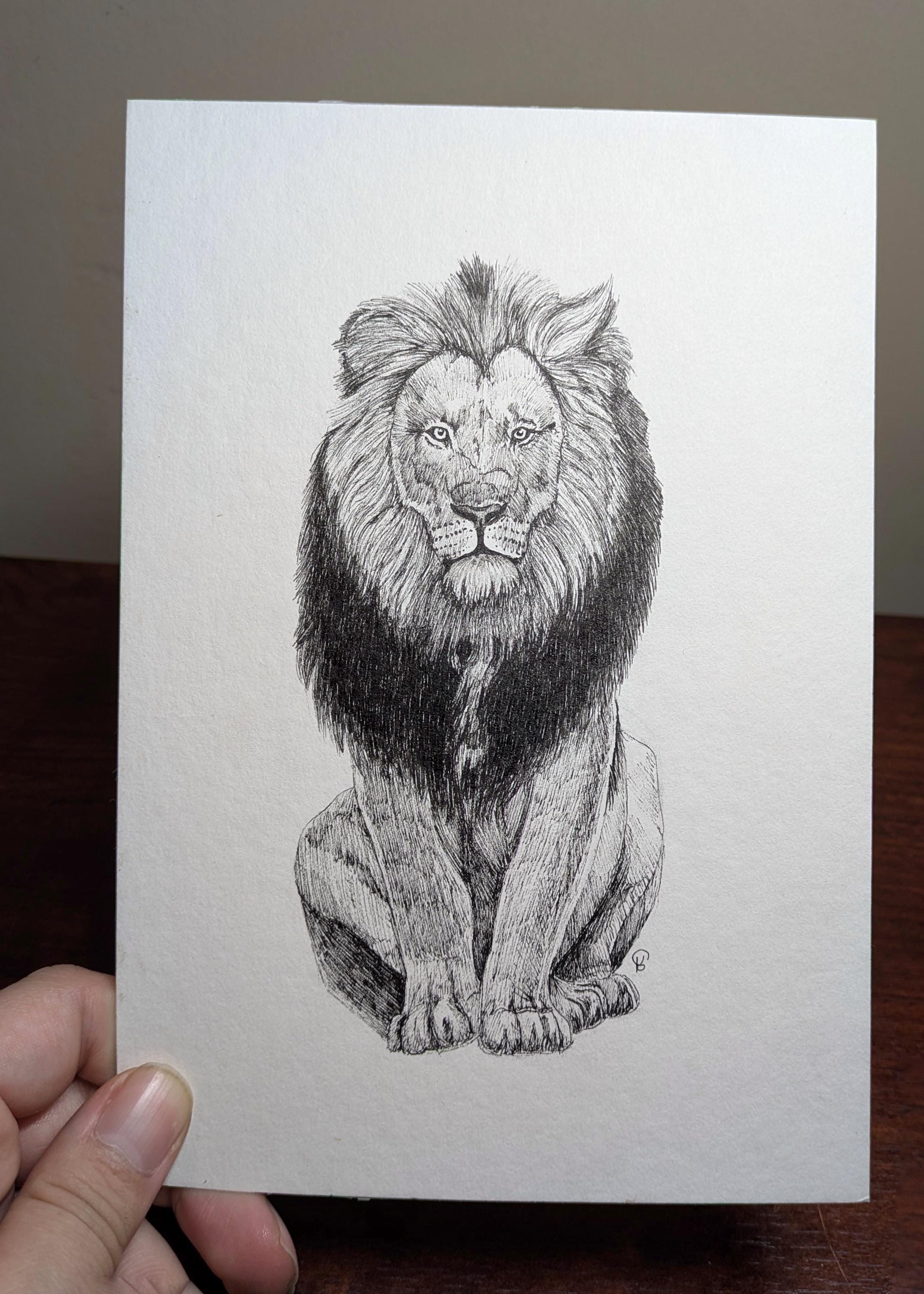 Original Lion Drawing - Etsy