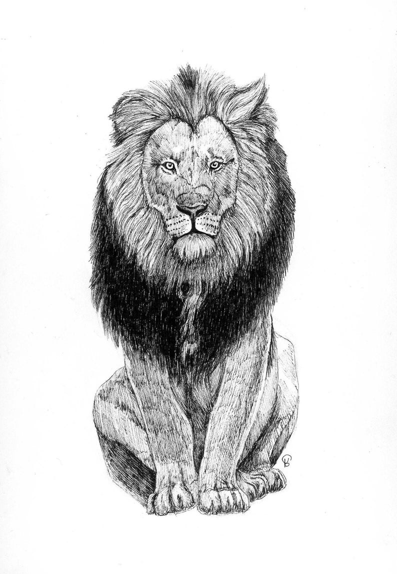 Original Lion Drawing - Etsy