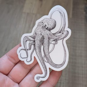 Octopus Sticker