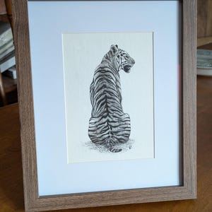 Original Tiger Drawing