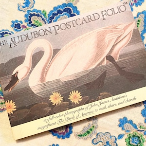 Cartes postales éphémères d'oiseaux / folio de cartes postales Audubon / Cartes postales d'oiseaux animaux / Folio de cartes postales Birds of America / Cartes postales d'oiseaux / Carnet de cartes postales