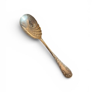 May include: A silver spoon with an ornate design. The spoon's bowl has a spiral pattern, and the handle features detailed floral engravings. The spoon is set against a white background, highlighting its intricate details and vintage aesthetic.