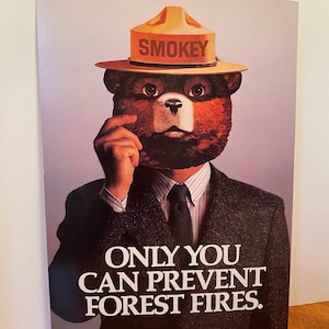 Smokey Bear - Vous seul pouvez prévenir les incendies de forêt, affiche en carton vintage USDA
