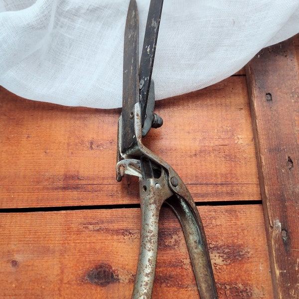 Distressed Garden Shears,Rusty Hand Tool ,Cutters Clippers Sheep Shears, old tools