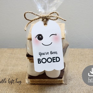 Halloween Favor Tags, Printable You've Been Booed Halloween Gift Tags, Costume Party Tags, Treat Bag Tags, Halloween Tags, Instant Download