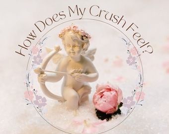 How Does My Crush Feel? Tarot Reading for Clarity in Love & Romance