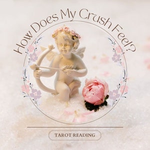 How Does My Crush Feel? Tarot Reading for Clarity in Love & Romance