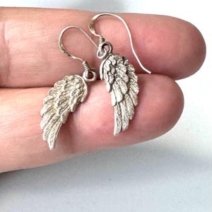 Pu&ograve; includere: Un paio di orecchini a forma di ali color argento. Ogni orecchino presenta un design ad ala dettagliato con un gancio curvo per l'orecchio. Le ali hanno una superficie strutturata. Gli orecchini sono esposti su sfondo neutro.