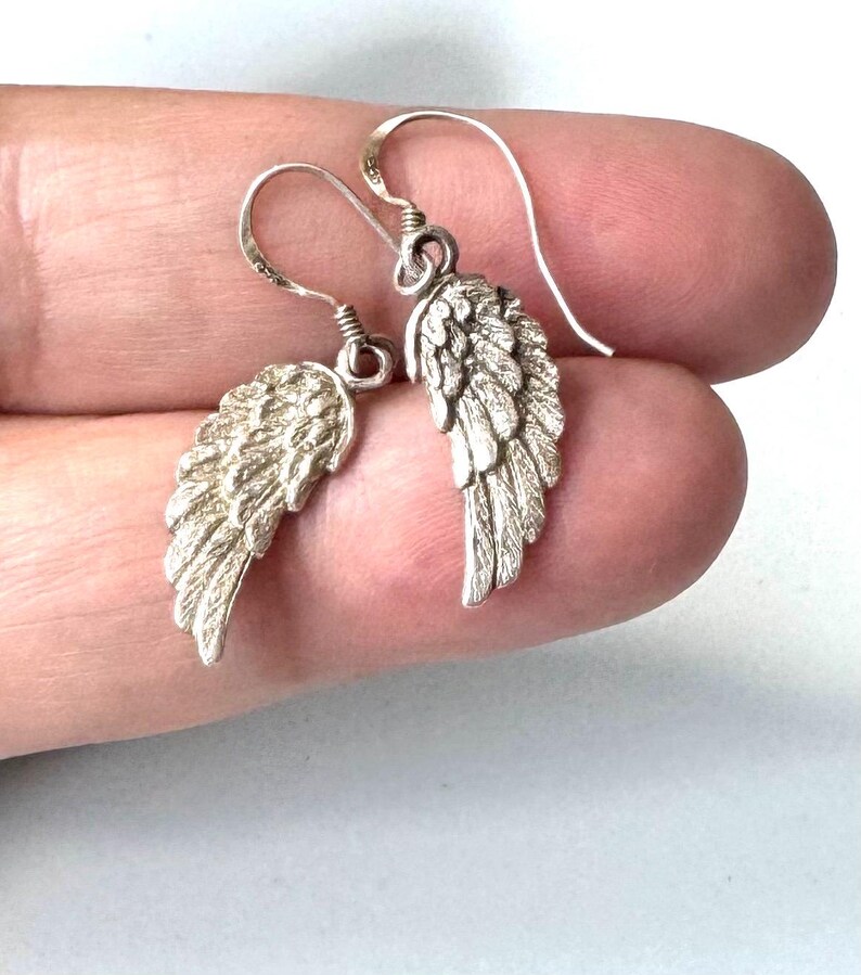 Pu&ograve; includere: Un paio di orecchini a forma di ali color argento. Ogni orecchino presenta un design ad ala dettagliato con un gancio curvo per l'orecchio. Le ali hanno una superficie strutturata. Gli orecchini sono esposti su sfondo neutro.