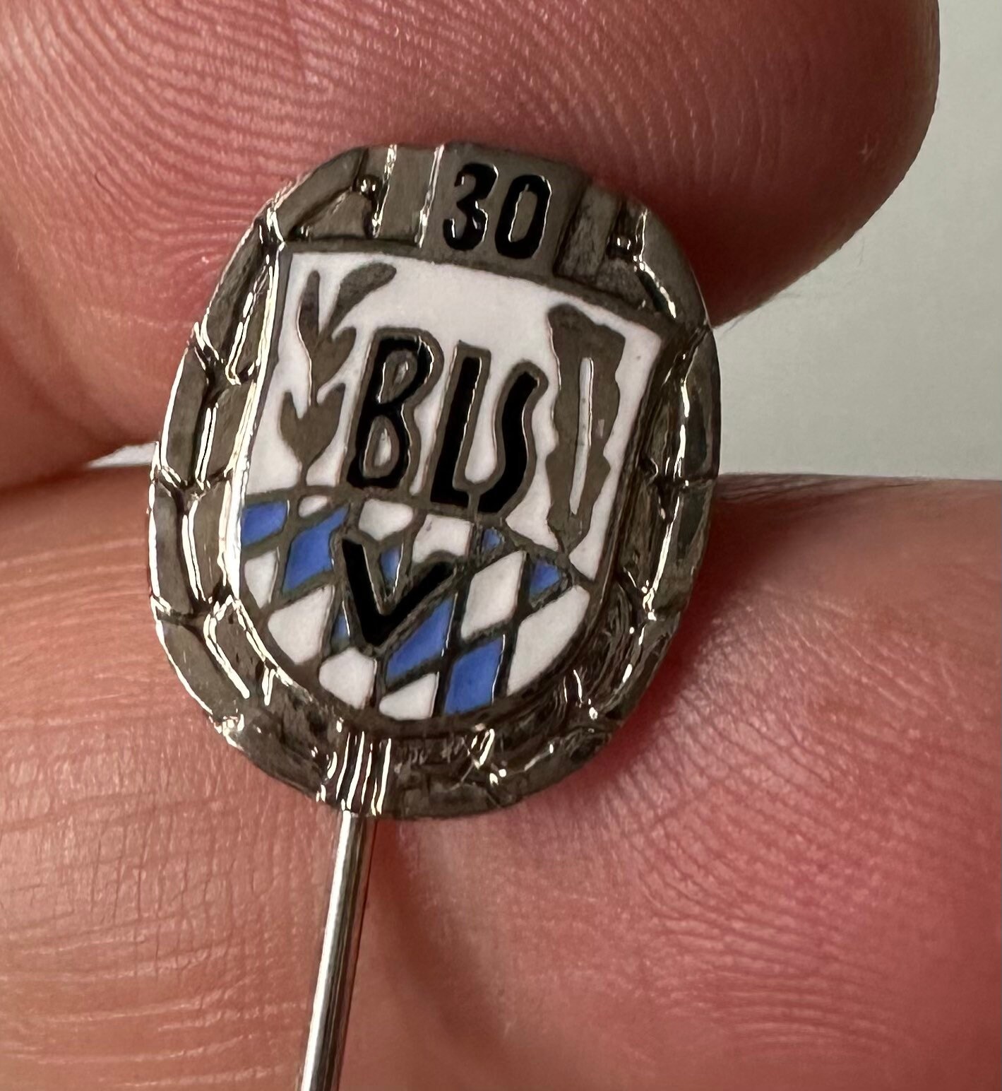 Pin's Rare Tourisme Blason Ours Brun Villard De Lans 38