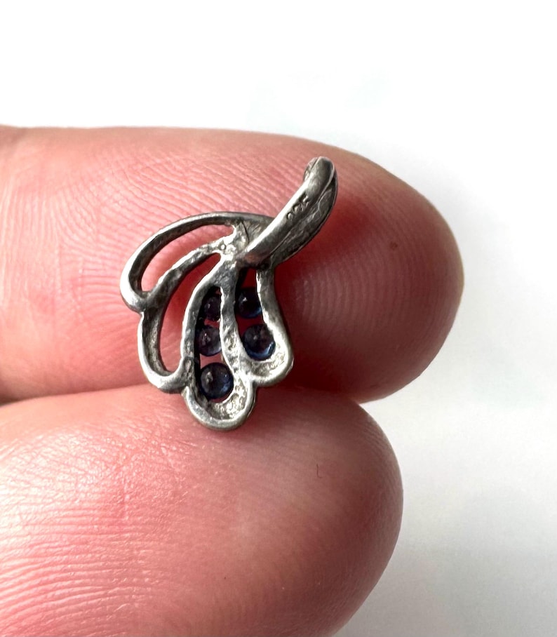 Op de afbeelding: Een zilveren hanger met een bladerenontwerp en blauwe edelstenen. De hanger heeft een lus aan de bovenkant om aan een ketting te bevestigen.