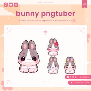 Grey Bunny PNGTuber Model | Cute VTuber Avatar for Streaming, Twitch, YouTube, and Discord