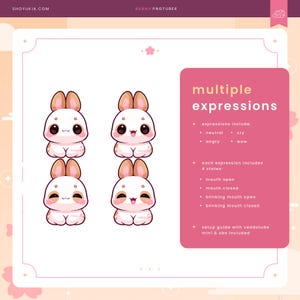 May include: Four variations of a cartoon bunny with different expressions: neutral, angry, cry, and wow. Each expression has four states: mouth open, mouth closed, blinking mouth open, and blinking mouth closed. The bunny is white with brown ears and a pink body. The text "multiple expressions" is in the upper right corner of the image.