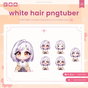 Female Chibi PNGTuber Avatar | Cute Streamer Model for Twitch, YouTube, VTuber Content, Tiktok, Discord & OBS Streaming