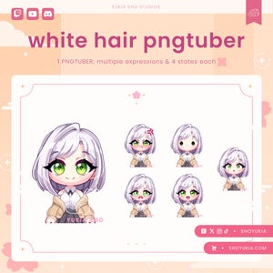 Female Chibi PNGTuber Avatar | Cute Streamer Model for Twitch, YouTube, VTuber Content, Tiktok, Discord & OBS Streaming