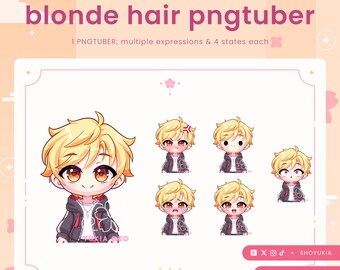 Male Chibi PNGTuber Avatar | VTuber Streamer Model for Twitch, Youtube