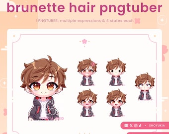 Male Chibi PNGTuber Avatar | VTuber Streamer Model for Twitch, Youtube