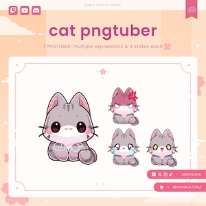 Grey Cat PNGTuber Model | Cute VTuber Avatar for Streaming, Twitch, YouTube, and Discord