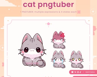 PNG-knolmodel grijze kat | Kawaii VTuber-avatar voor streaming