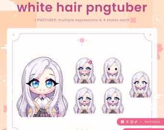 Female Chibi PNGTuber Avatar | Streamer Model for Twitch, YouTube, Discord & OBS