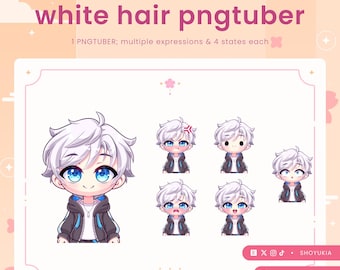 Male Chibi PNGTuber Avatar | VTuber Streamer Model for Twitch, Youtube