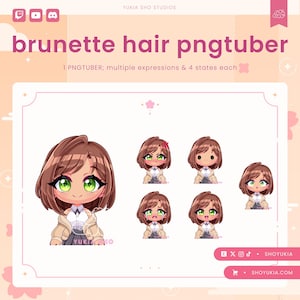 Female Chibi PNGTuber Avatar | Cute Streamer Model for Twitch, YouTube, VTuber Content, Tiktok, Discord & OBS Streaming