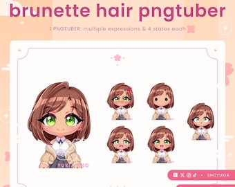 Female Chibi PNGTuber Avatar | VTuber Streamer Model for Twitch, Youtube
