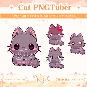 Black Cat PNGTuber Model for Twitch/YouTube | Vtuber Model | PNGTuber Twitch | Vtuber Assets | PNGTuber Premade | Cat Vtuber | Cute Vtuber