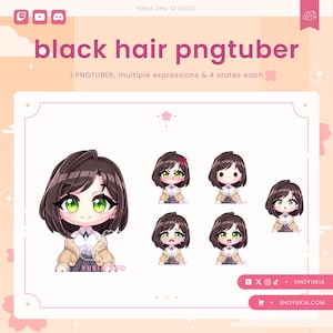 Female Chibi PNGTuber Avatar | Cute Streamer Model for Twitch, YouTube, VTuber Content, Tiktok, Discord & OBS Streaming