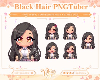 Schwarze Haare Braune Augen Chibi PNGTuber Model for Twitch/YouTube | Vtuber Modell | PNGTuber Twitch | Vtuber Vermögen | PNGTuber Premade