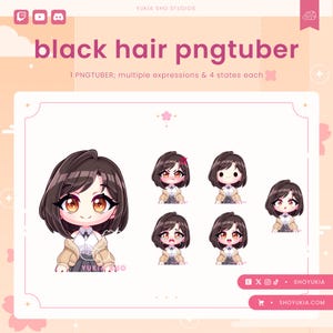 Female Chibi PNGTuber Avatar | Cute Streamer Model for Twitch, YouTube, VTuber Content, Tiktok, Discord & OBS Streaming
