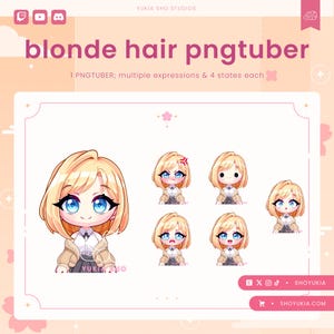 Female Chibi PNGTuber Avatar | Cute Streamer Model for Twitch, YouTube, VTuber Content, Tiktok, Discord & OBS Streaming