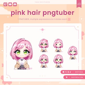 Female Chibi PNGTuber Avatar | Cute Streamer Model for Twitch, YouTube, VTuber Content, Tiktok, Discord & OBS Streaming