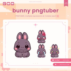 May include: A set of four digital illustrations of a purple bunny with different expressions. The bunny is wearing a pink flower on its chest. The text "bunny pngtuber" is at the top of the image. The text "1 PNGTUBER; multiple expressions & 4 states each" is below the bunny illustrations.