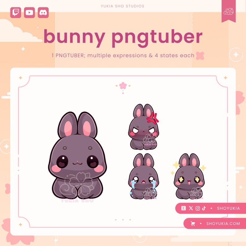 May include: A set of four digital illustrations of a purple bunny with different expressions. The bunny is wearing a pink flower on its chest. The text "bunny pngtuber" is at the top of the image. The text "1 PNGTUBER; multiple expressions & 4 states each" is below the bunny illustrations.