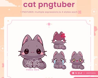 Black Cat PNGtuber Model | Kawaii VTuber Avatar for Streaming