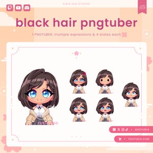 Female Chibi PNGTuber Avatar | Cute Streamer Model for Twitch, YouTube, VTuber Content, Tiktok, Discord & OBS Streaming