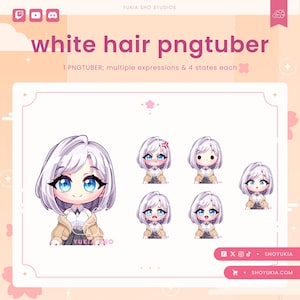 Female Chibi PNGTuber Avatar | Cute Streamer Model for Twitch, YouTube, VTuber Content, Tiktok, Discord & OBS Streaming