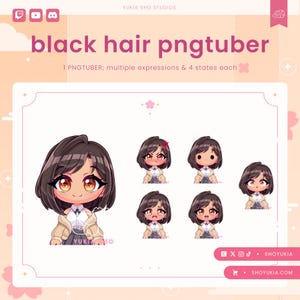 Female Chibi PNGTuber Avatar | Cute Streamer Model for Twitch, YouTube, VTuber Content, Tiktok, Discord & OBS Streaming