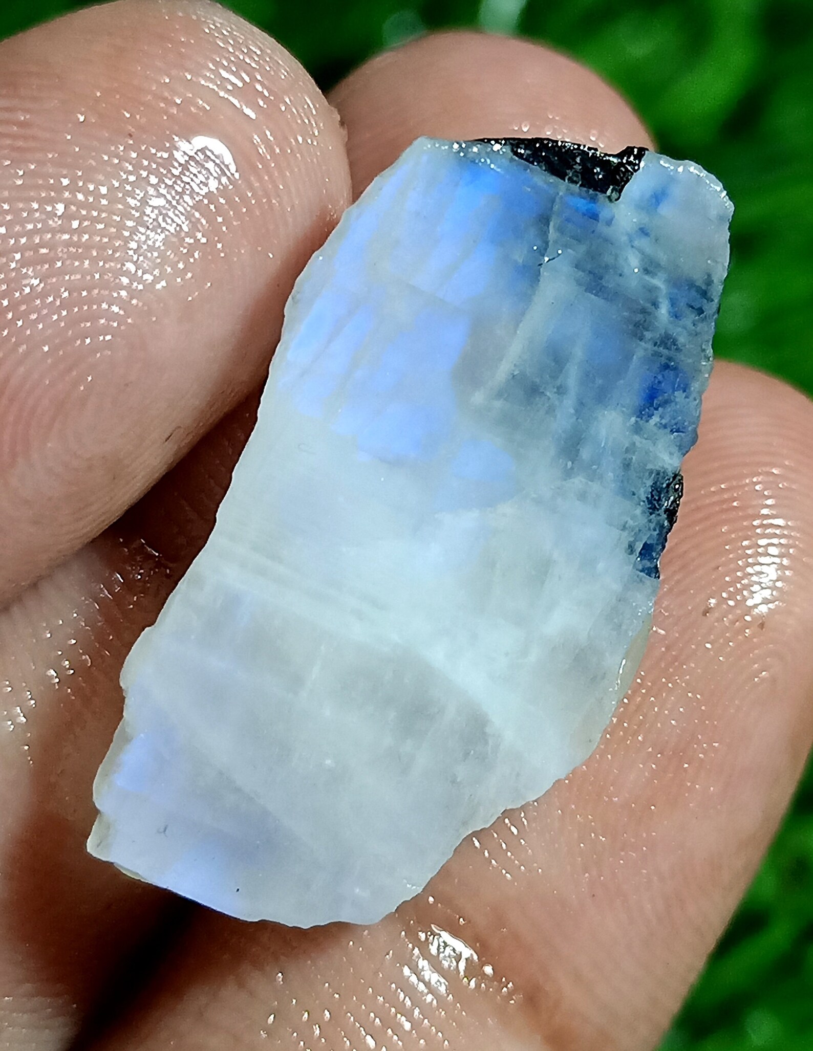 Large Rainbow Moonstone Raw Natural Stone 15x25mmNatural Etsy