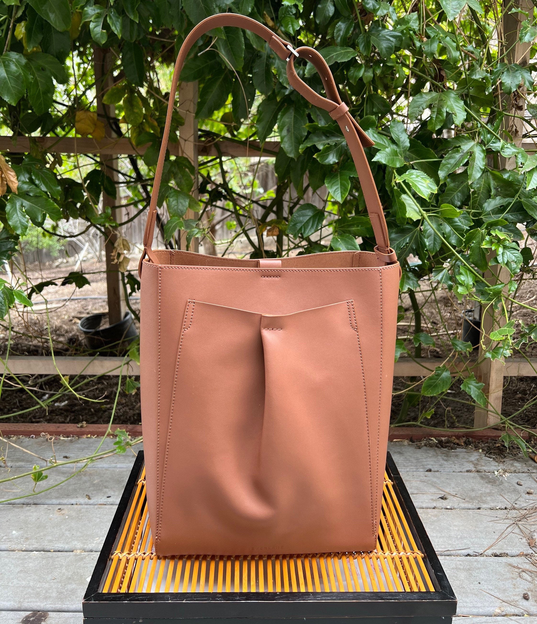 Everlane Leather Mini Studio Bag